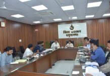 धान खरीद से पहले यमुनानगर की 13 मंडियां तैयार, जानें MSP और मंडियों की तैयारियां